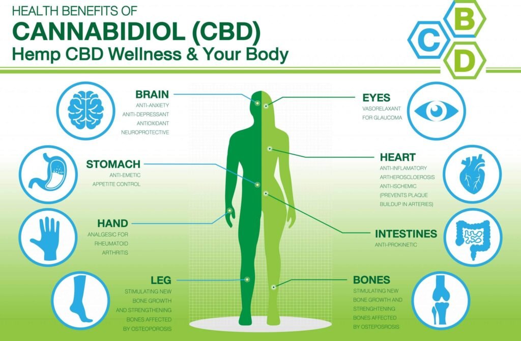 The Truth about CBD Oil: What It Is, How It Works, and How to Use It 8 The Truth about CBD Oil: What It Is, How It Works, and How to Use It