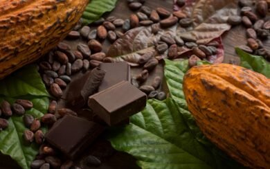 Unveiling the Health Wonders of Cacao and Its Versatile Enjoyment 1 Unveiling the Health Wonders of Cacao and Its Versatile Enjoyment