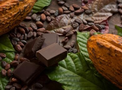 Unveiling the Health Wonders of Cacao and Its Versatile Enjoyment 3 Unveiling the Health Wonders of Cacao and Its Versatile Enjoyment