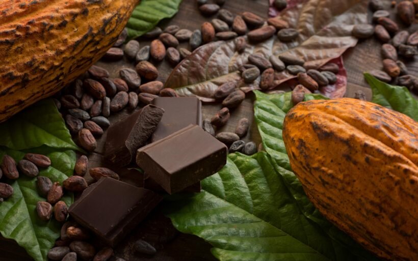 Unveiling the Health Wonders of Cacao and Its Versatile Enjoyment