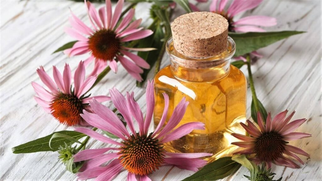 how to boost your immune system naturally with foods and supplements 13 how to boost your immune system naturally with foods and supplements