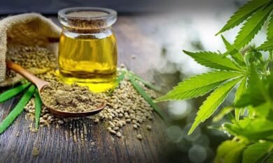 The Truth about CBD Oil: What It Is, How It Works, and How to Use It 3 The Truth about CBD Oil: What It Is, How It Works, and How to Use It