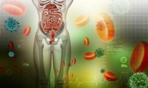 Gut-Brain Connection: How a Healthy Gut Supports Overall Well-being 6 Gut-Brain Connection: How a Healthy Gut Supports Overall Well-being