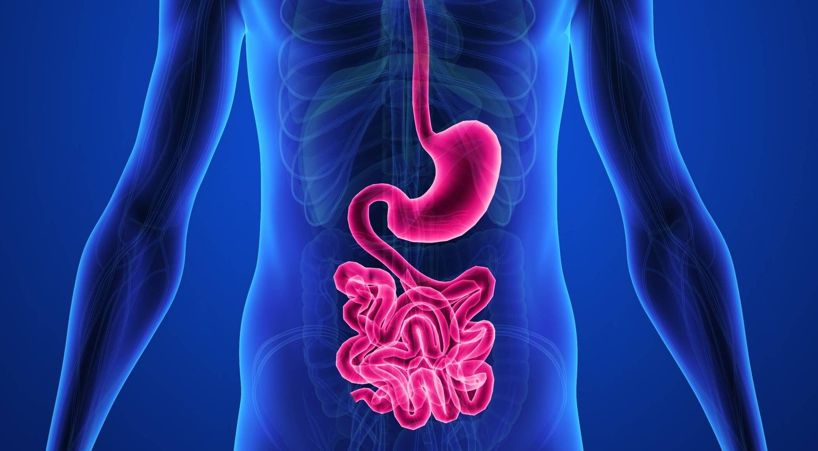 Digestion Tips and Methods (acupressure points, water fasting) 6 Digestion Tips and Methods (acupressure points, water fasting)