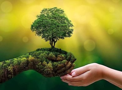 The Environmental Impact of Our Food Choices 10 The Environmental Impact of Our Food Choices