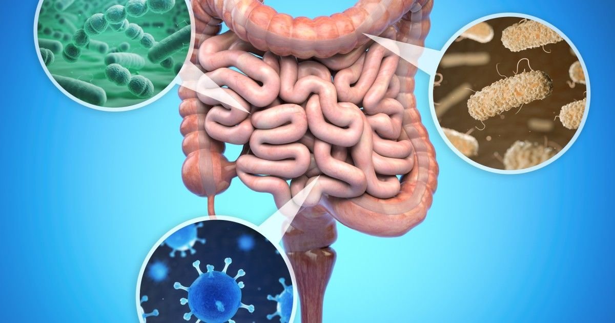 Gut Health Revolution: How to Nourish Your Microbiome for Optimal Wellbeing in 2024 9 Gut Health Revolution: How to Nourish Your Microbiome for Optimal Wellbeing in 2024