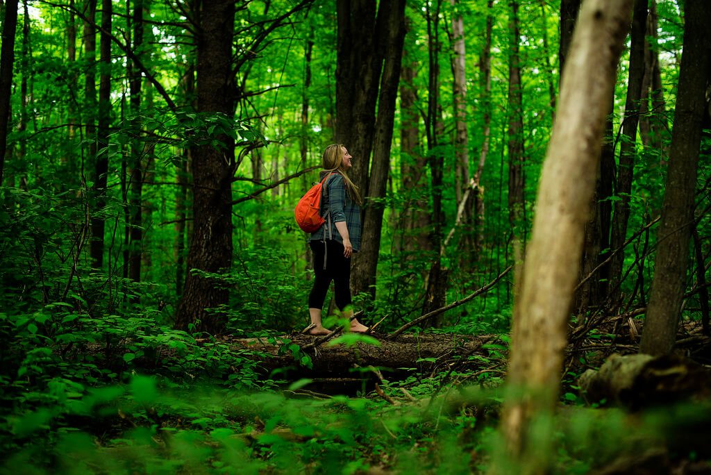 Beyond Mindfulness: Trending Wellness Practices to Embrace in 2024 12 Beyond Mindfulness: Trending Wellness Practices to Embrace in 2024