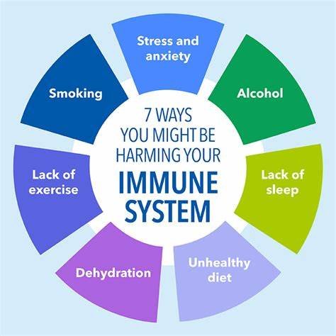 Immune Health Boost, with the help of Vegan and Keto Diets. 11 Immune Health Boost, with the help of Vegan and Keto Diets.