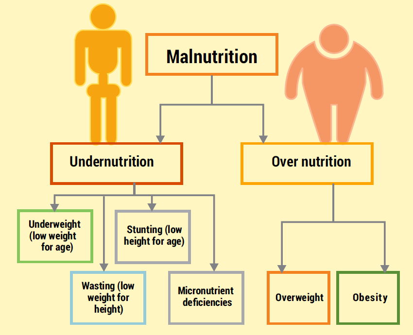 Do you know Obesity can be a Form of Malnutrition? 8 Do you know Obesity can be a Form of Malnutrition?